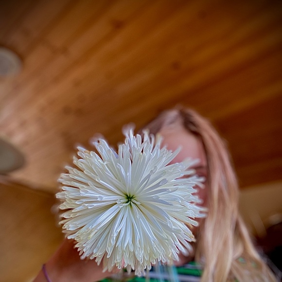 Meet your Posher, Addyson - Picture 1 of 1